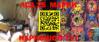шишки Славгород