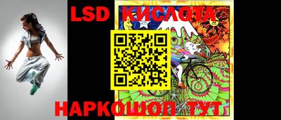шишки Славгород