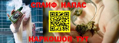хмурый Сланцы