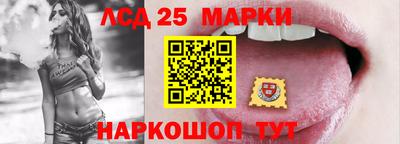 хмурый Сланцы