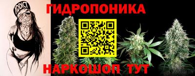 хмурый Сланцы