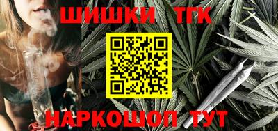 шишки Славгород