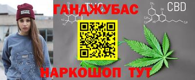 шишки Славгород