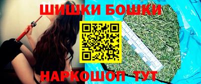 шишки Славгород